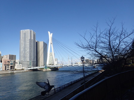 f:id:himekagura:20170121130523j:image