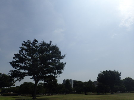 f:id:himekagura:20180721094934j:image