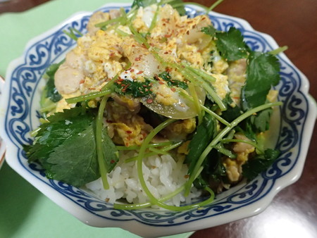 f:id:himekagura:20180914194235j:image