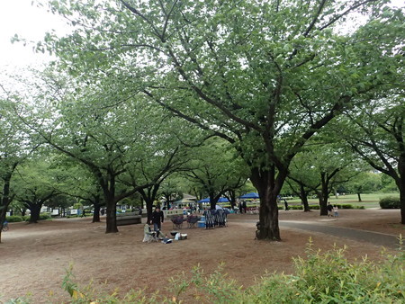 f:id:himekagura:20190427101726j:plain