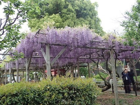 f:id:himekagura:20190427112855j:plain