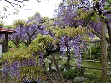 f:id:himekagura:20190427113407j:plain