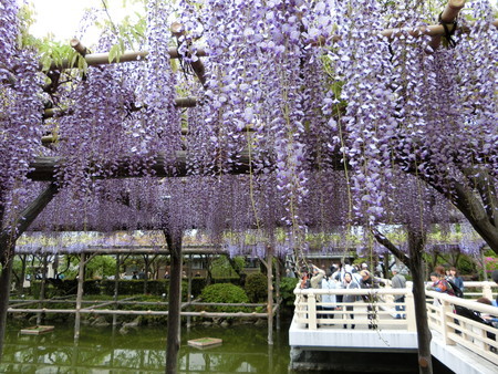 f:id:himekagura:20190427113434j:plain