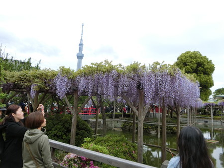 f:id:himekagura:20190427113614j:plain