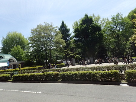 f:id:himekagura:20190428114937j:plain