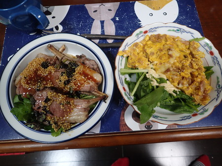 f:id:himekagura:20190428171604j:plain