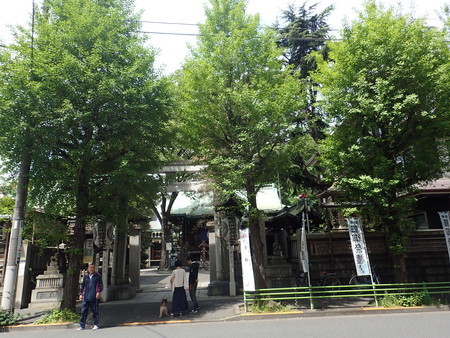 f:id:himekagura:20190503102017j:plain f:id:himekagura:20190503102017j:plain