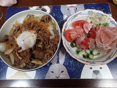 f:id:himekagura:20190612193117j:plain
