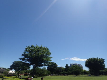 f:id:himekagura:20190616095501j:plain