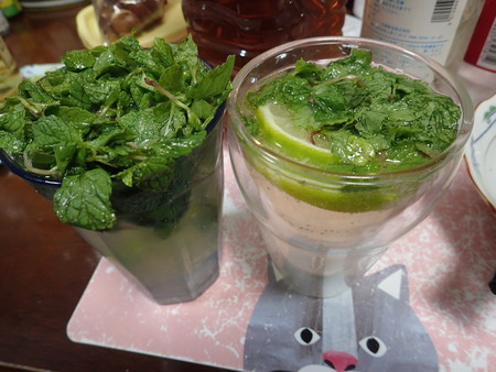 f:id:himekagura:20190617203532j:plain f:id:himekagura:20190617203532j:plain