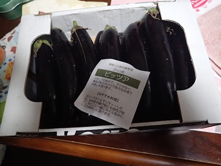 f:id:himekagura:20190710205717j:plain