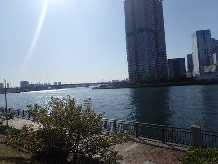 f:id:himekagura:20191110125736j:plain