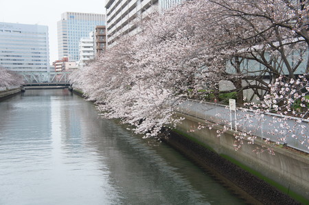 f:id:himekagura:20200323110348j:plain f:id:himekagura:20200323110348j:plain
