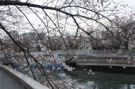 f:id:himekagura:20200323112933j:plain f:id:himekagura:20200323112933j:plain