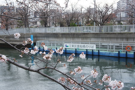 f:id:himekagura:20200323112957j:plain f:id:himekagura:20200323112957j:plain