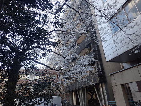 f:id:himekagura:20200324092553j:plain f:id:himekagura:20200324092553j:plain