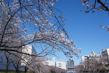 f:id:himekagura:20200325095236j:plain f:id:himekagura:20200325095236j:plain