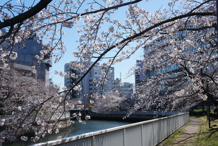 f:id:himekagura:20200325095500j:plain f:id:himekagura:20200325095500j:plain