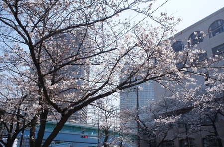 f:id:himekagura:20200326124555j:plain