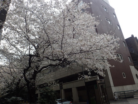 f:id:himekagura:20200327091328j:plain