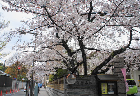 f:id:himekagura:20200327102403j:plain