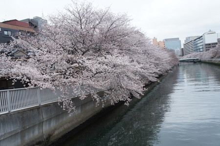 f:id:himekagura:20200328103012j:plain