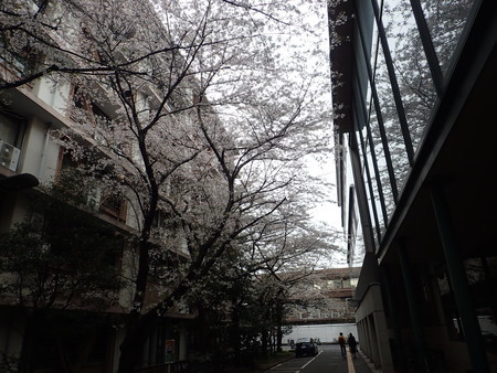 f:id:himekagura:20200331091203j:plain