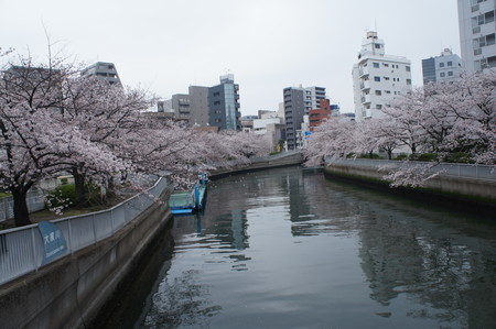 f:id:himekagura:20200331122319j:plain