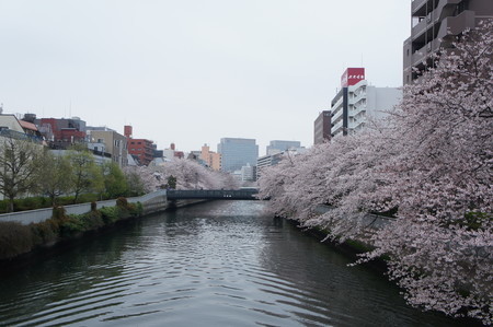 f:id:himekagura:20200331122455j:plain