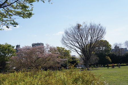 f:id:himekagura:20200410094448j:plain f:id:himekagura:20200410094448j:plain