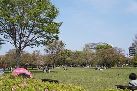 f:id:himekagura:20200415131440j:plain f:id:himekagura:20200415131440j:plain