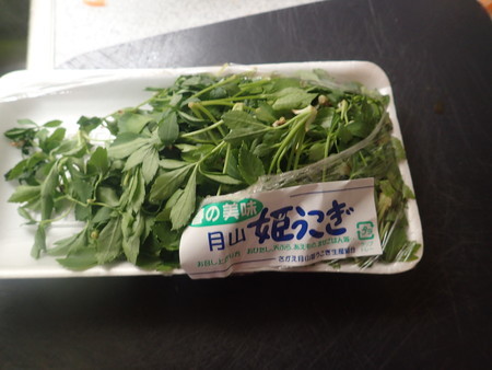 f:id:himekagura:20200416161722j:plain