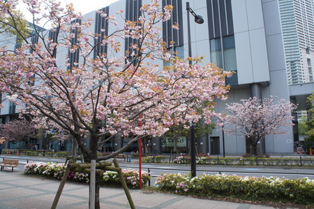 f:id:himekagura:20200417115558j:plain
