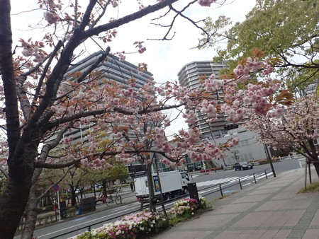 f:id:himekagura:20200417120007j:plain