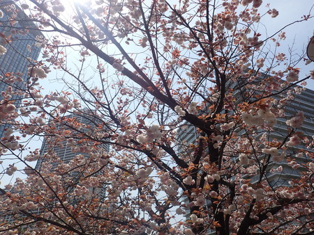 f:id:himekagura:20200417124934j:plain