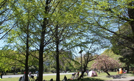 f:id:himekagura:20200419111330j:plain