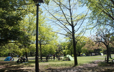 f:id:himekagura:20200419111333j:plain