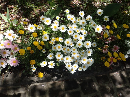 f:id:himekagura:20200419112946j:plain
