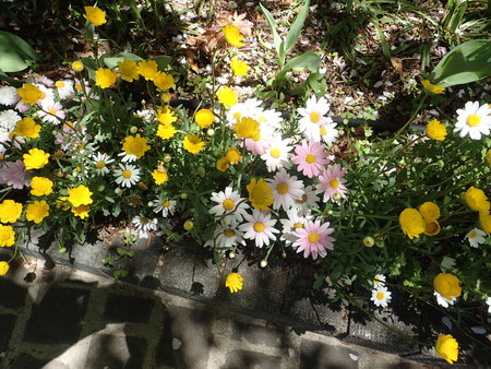 f:id:himekagura:20200419112948j:plain