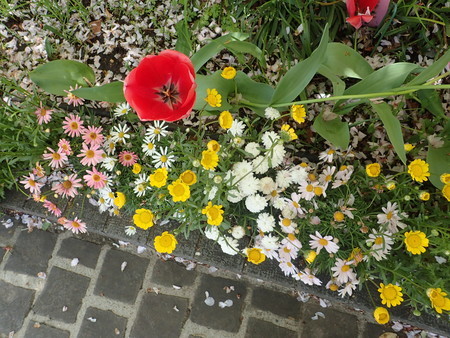 f:id:himekagura:20200419112957j:plain