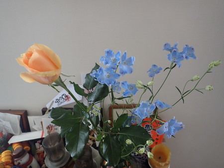 f:id:himekagura:20200419153704j:plain