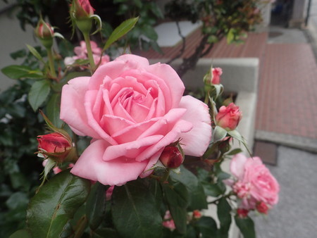 f:id:himekagura:20200520125336j:plain