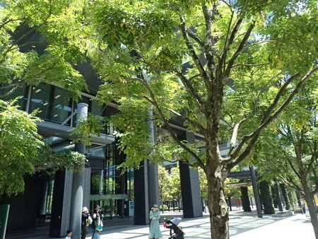 f:id:himekagura:20200529120032j:plain