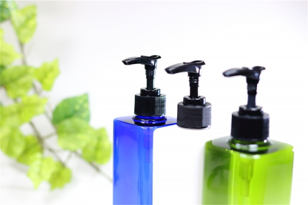 f:id:himekaten:20220102191055j:image