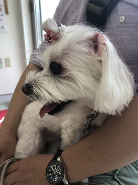 f:id:himemama1126:20190909153300j:plain