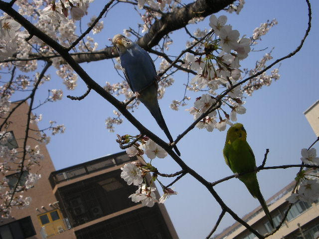 イメージ 3