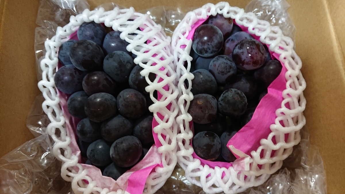 f:id:himenokuni77:20190921160215j:plain f:id:himenokuni77:20190921160215j:plain