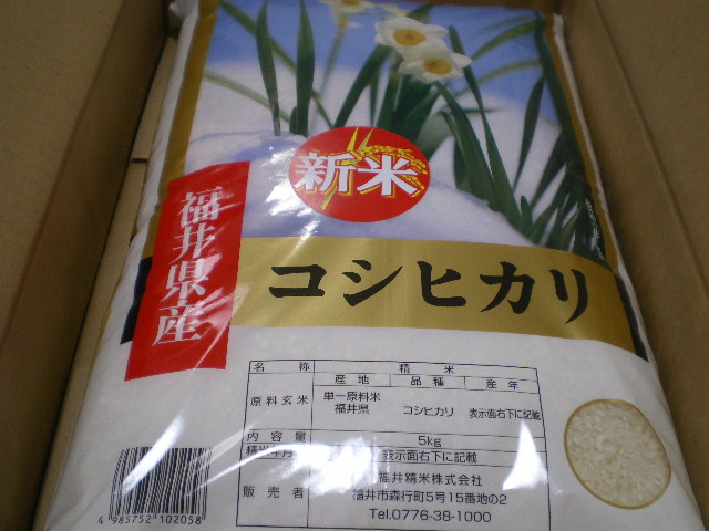 f:id:himenokuni77:20191019105937j:plain f:id:himenokuni77:20191019105937j:plain