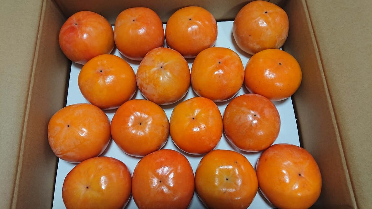 f:id:himenokuni77:20191112160228j:plain f:id:himenokuni77:20191112160228j:plain