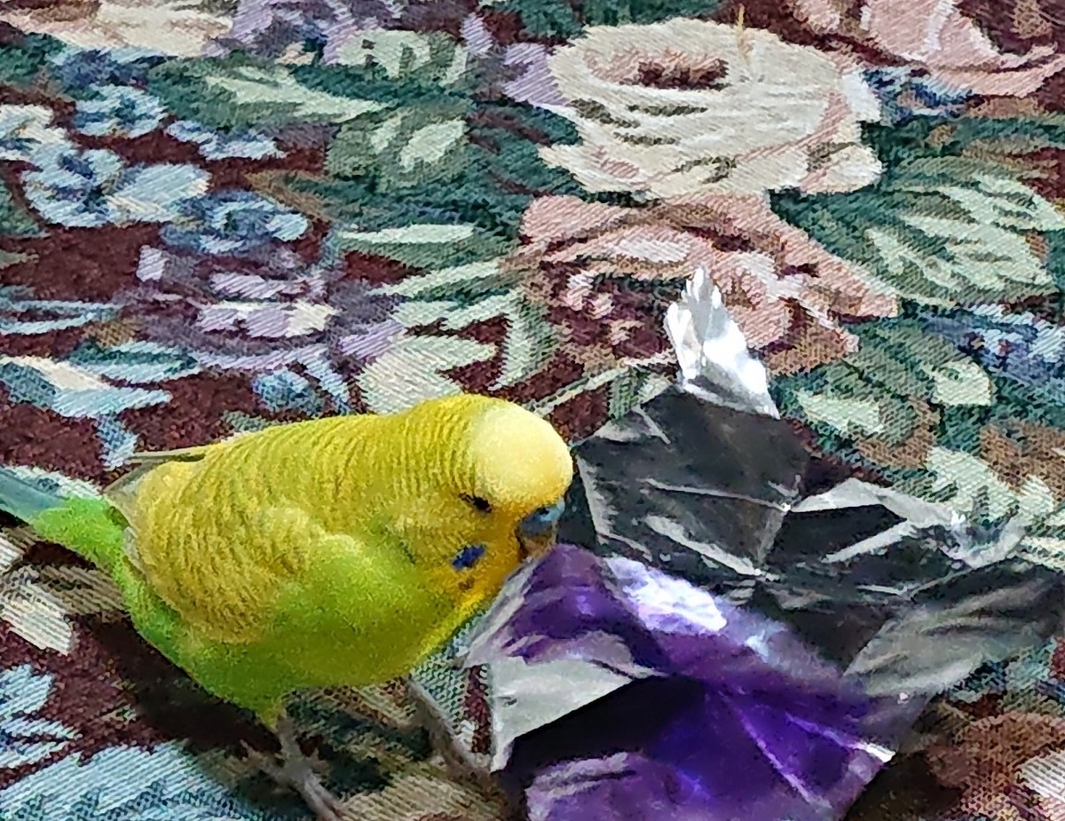 f:id:himenokuni77:20191220203841j:plain f:id:himenokuni77:20191220203841j:plain